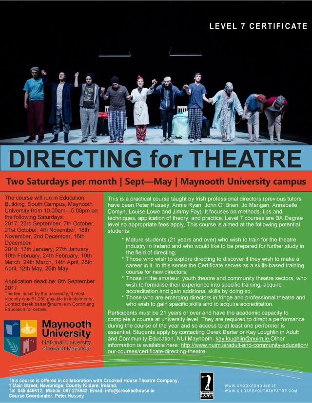 Maynooth University Level 7 Certificate in Directing for Theatre
